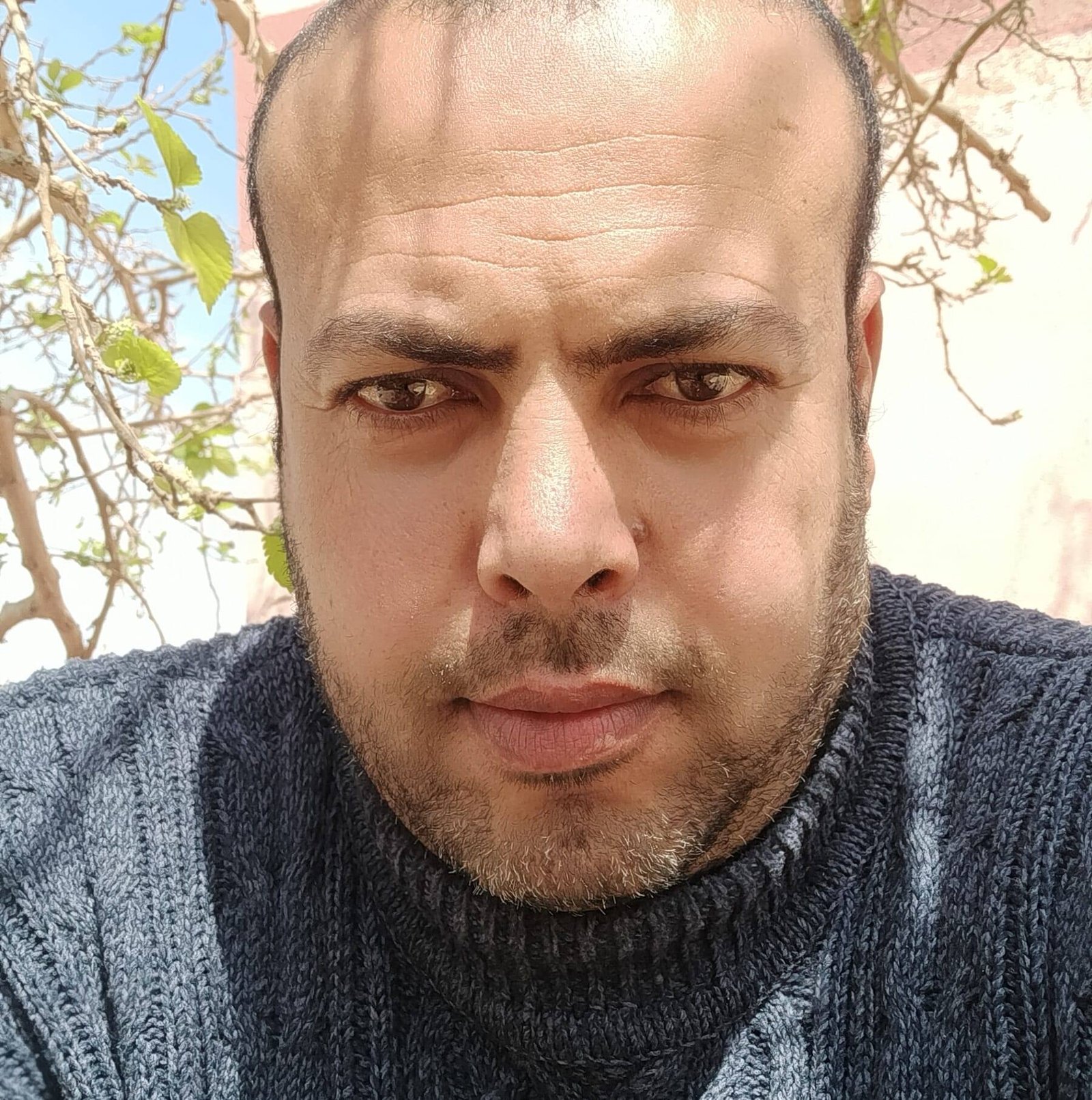صورة يحيي